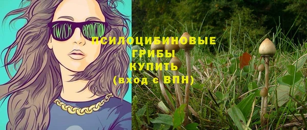 mdpv Дмитриев