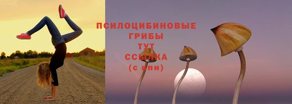 mdpv Дмитриев