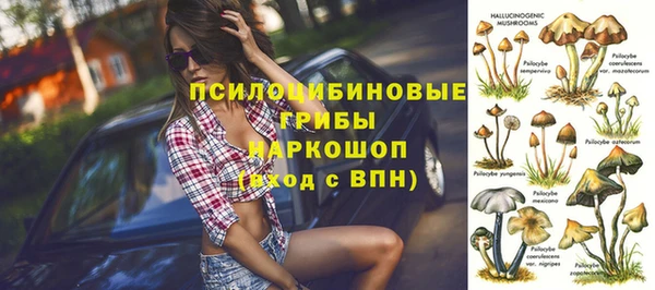 mdpv Дмитриев