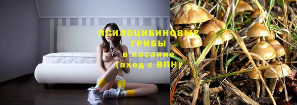 дживик Елизово