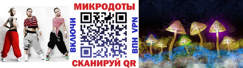 Псилоцибиновые грибы Psilocybe  где можно купить наркотик  Салаир 